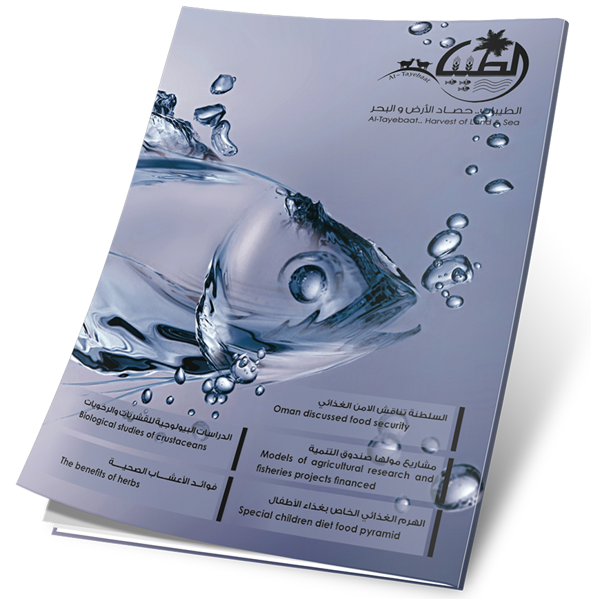 غلاف العدد 11